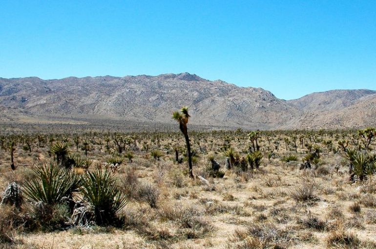 3BpXsDk_OZYHuuq0XFtWly60O5Z5ZvdzwNGgZVMfcPE