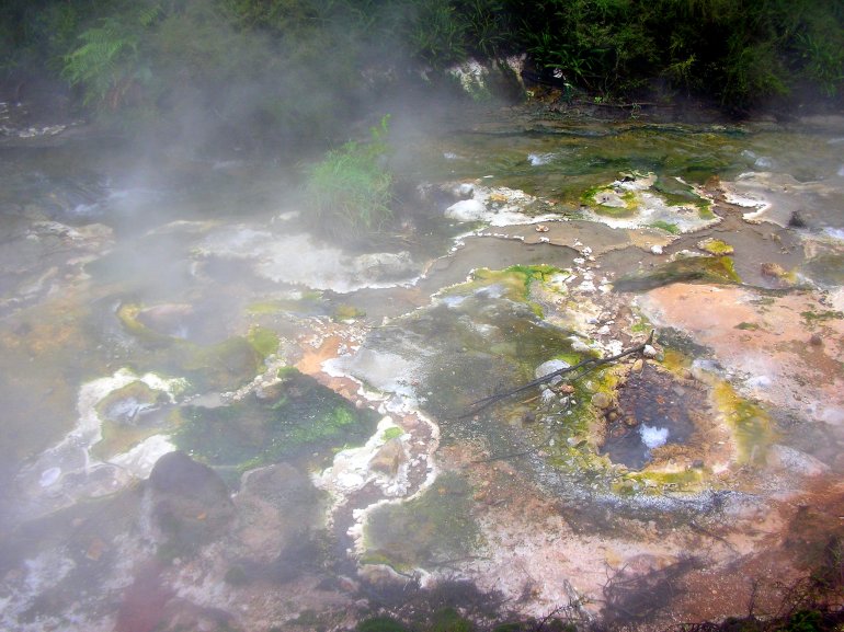 Volcanic activity, Waimangu