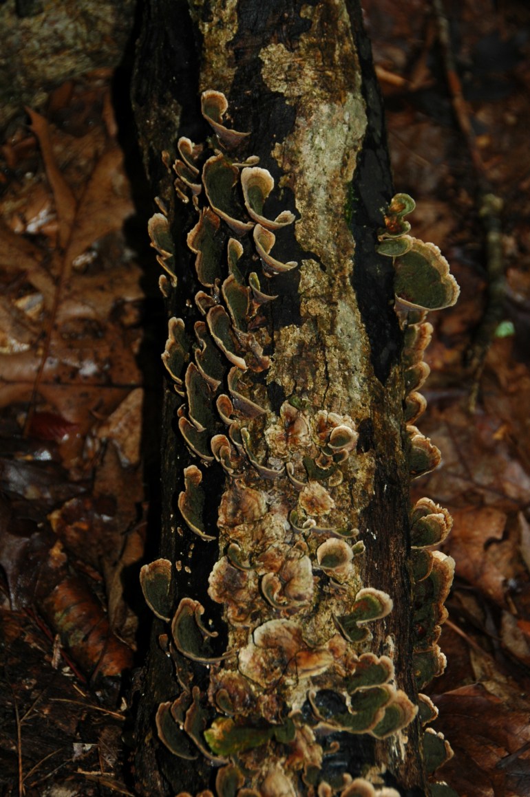 2EF590C4-3325-442A-BE07-F037BBA8A604