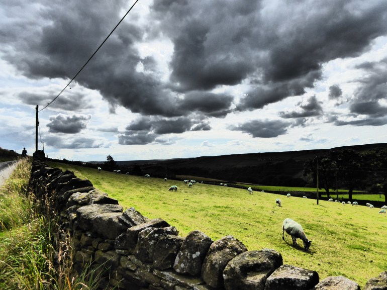 39448A01-9EBC-440C-9C7F-AE148886DA92