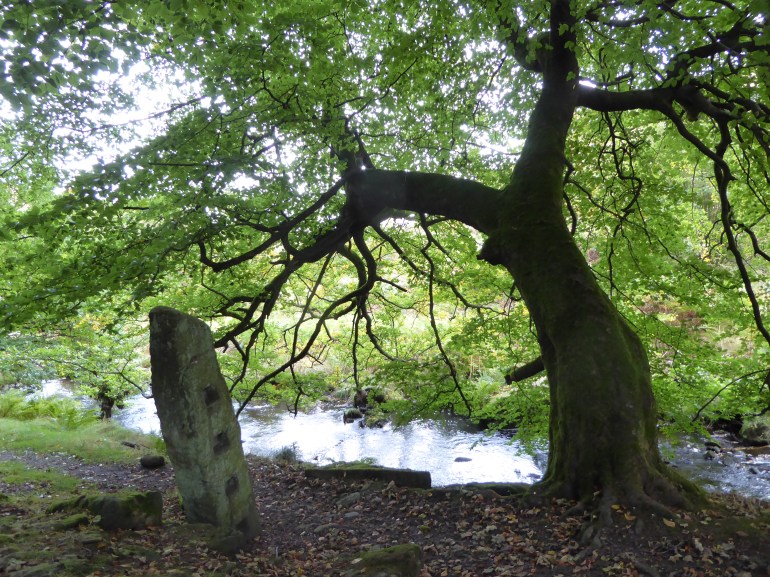 9D7DB5E9-5ACC-444A-A6BE-777DF558E34D