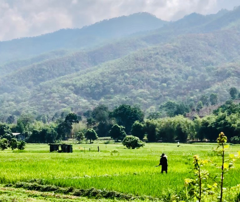 DD387074-CA9C-40E4-A398-4EAF4452DBCD